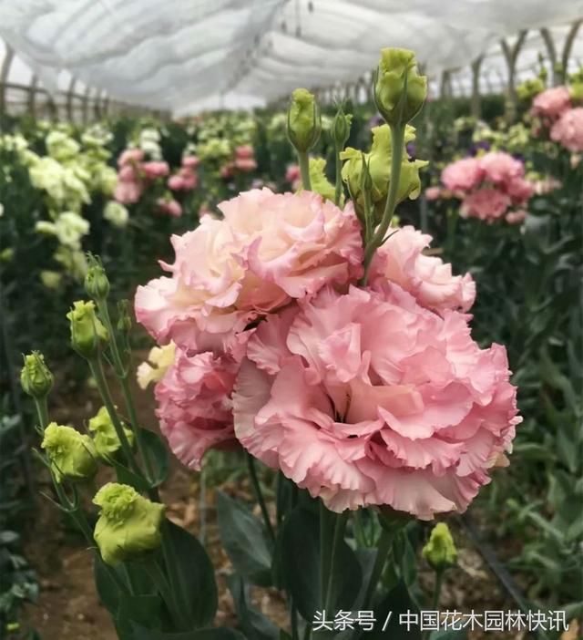 玉溪警方依法查处多名散布地震谣言的网民