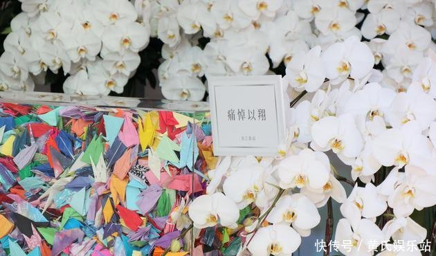 浙江卫视不回应