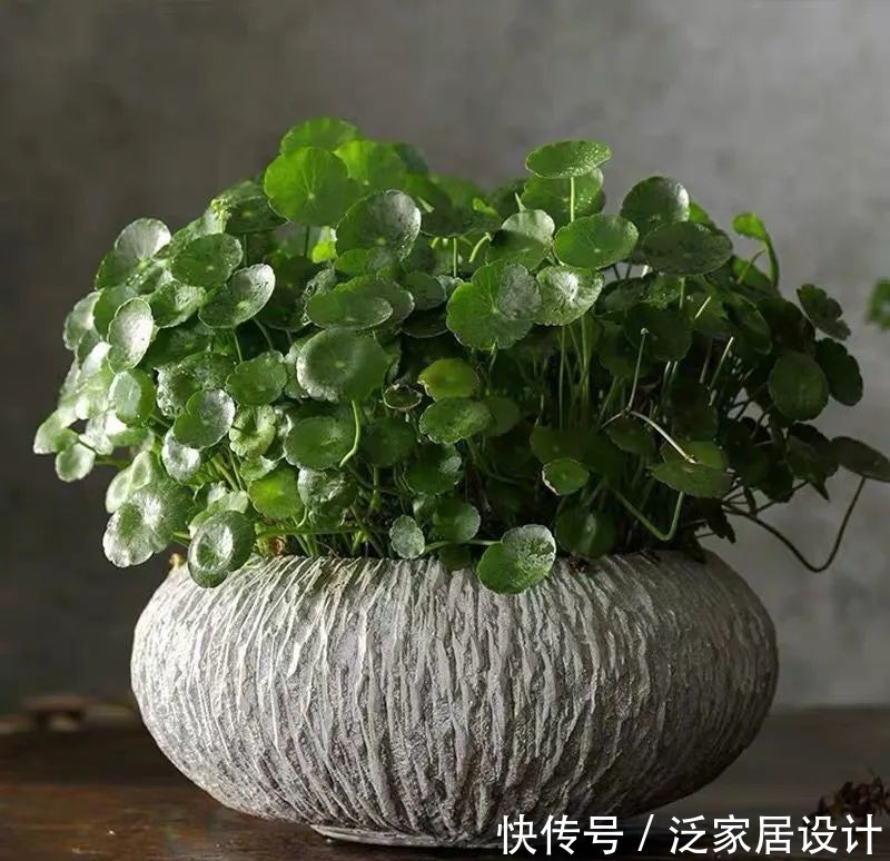  #春天#想要小钱变大钱，少钱变多钱，你一定要get的几个技巧