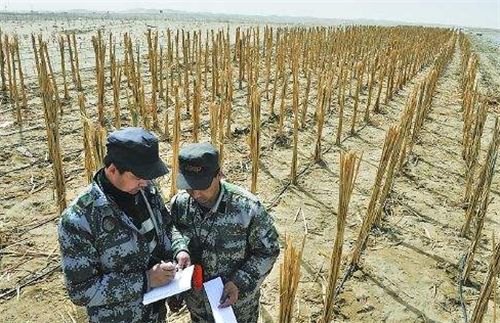 中国的死亡之海，塔克拉玛干沙漠，为何能給美国带来连年的降雨