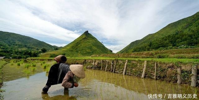  「种植」农村怪事种粮不赚钱，荒着会收回，土地流转却不愿意，为什么