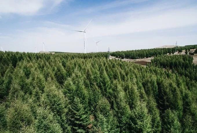 秋季让我们西行漫记，在黄土与草原中探索无人秘境