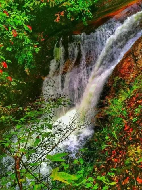 秦岭私藏2条自驾公路,秋季美成天堂,霸占北方最绚烂秋景