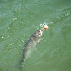  『水花』野钓中，快速找鱼窝的技巧和方法