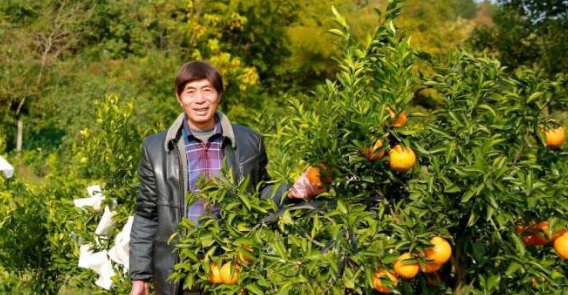  #一批#不久将来，农村“下一批”富人将出现，三类人的概率最高