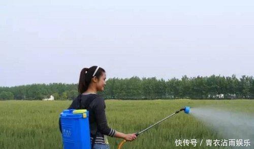  鲜花：适合农村的创业点子，就看你敢不敢做