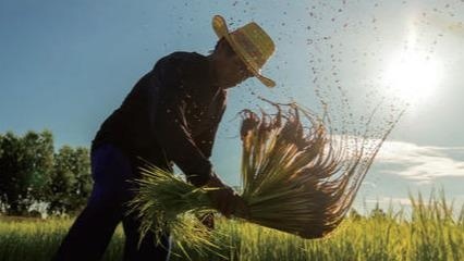  「待遇」农村地补陆续发放，看看哪些人的待遇会提高，哪些人将