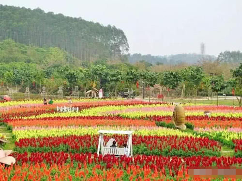 南宁花雨湖大型玻璃桥旗袍秀，柔美和刺激交相辉映，精彩纷呈