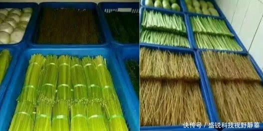 军队食堂到底有多“狠”忍了排队的螃蟹，土豆丝让我秒怂