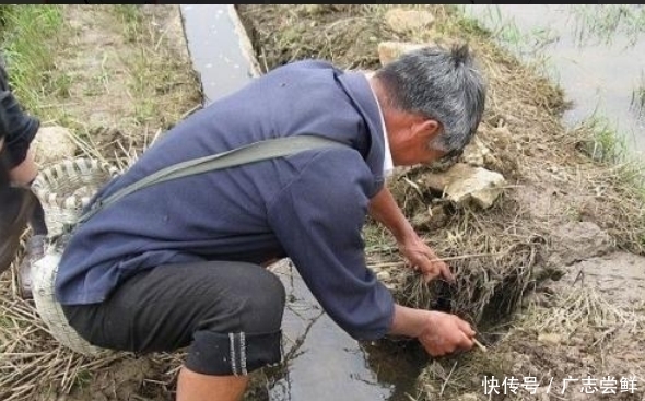 义乌“钓鱼镜一出，无人再打窝，35米深水一清二楚，从此不打窝