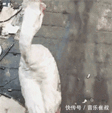 「孩子」搞笑GIF趣图:妹子,请你放开那孩子,有什么事冲我来