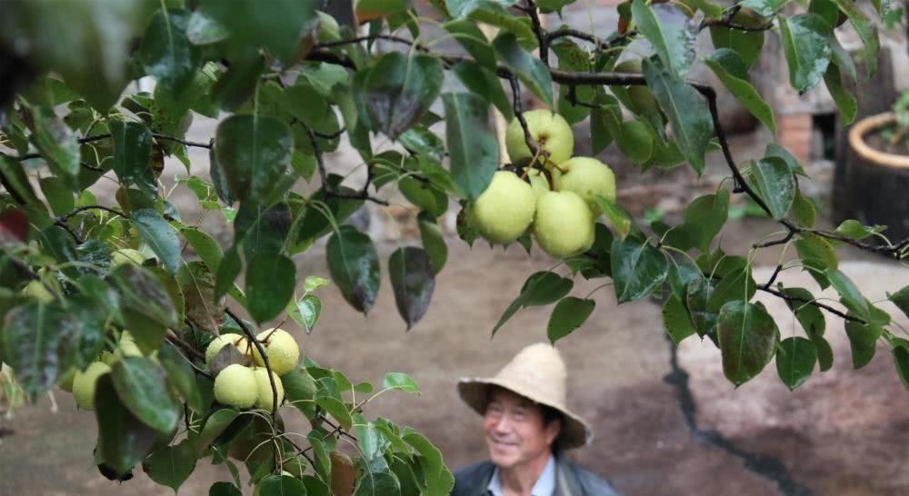  【归隐】60岁远离城市归隐深山养老，开荒种田自给自足，果蔬吃