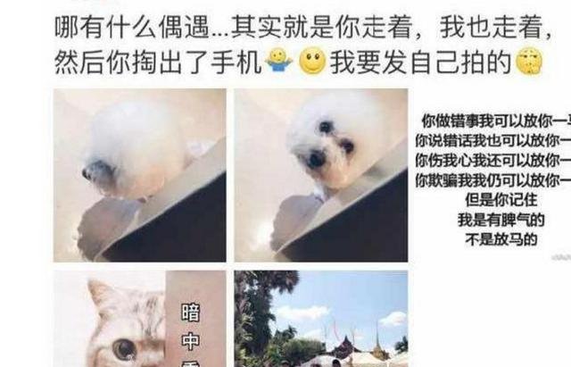 赵丽颖首次发文，疑似公开回应和演员冯绍峰的恋情