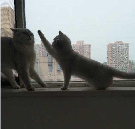 安娜提醒股民注意，周一将再曝华谊猛料，三天不打，上房揭瓦