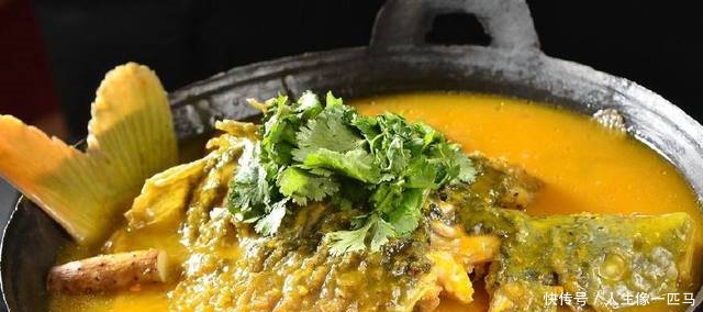 野生黄河大鲤鱼，被激流冲晕，村民冒险下水捕获