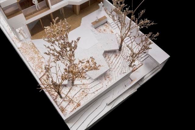  『自然』凝视自然的工具——舟山 海街11号