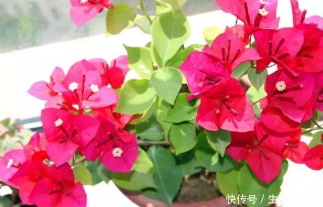  「根部」养花浇水难、摸不清量，就划分为6点，让根部不再受水患影响