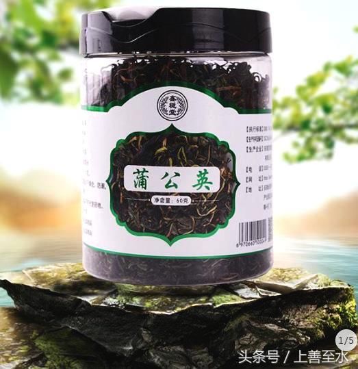 用野生蒲公英根茶泡水喝 具有哪些好处?