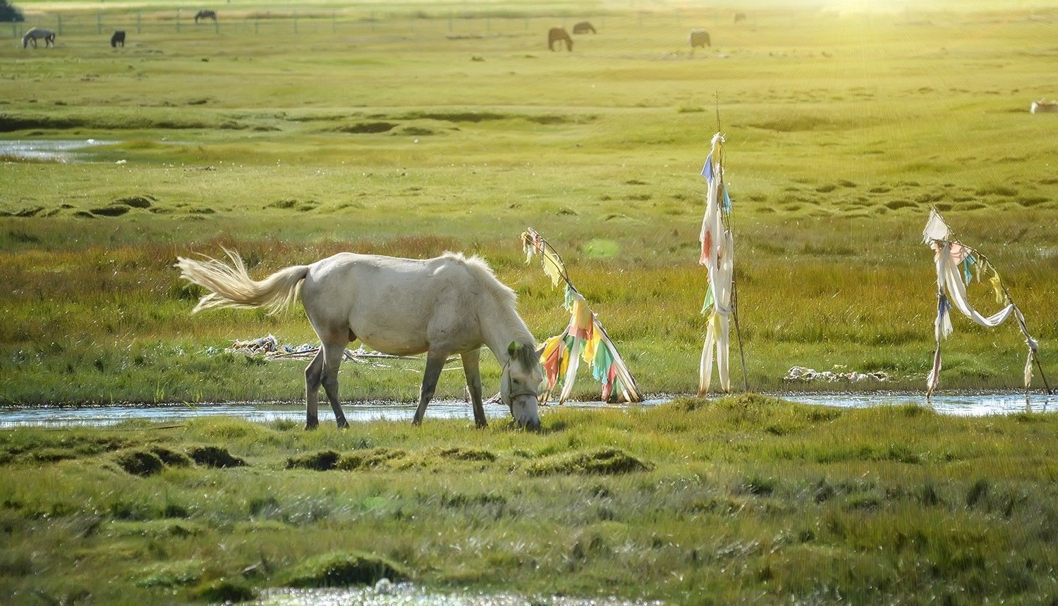 印巴又起冲突，联想当年的洞朗，美若天仙的亚东岂能让它国妄为