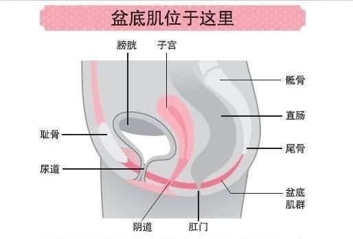 # 产后#真的有用吗？医生告诉你真相，辟谣：为了保持紧致要求剖腹产