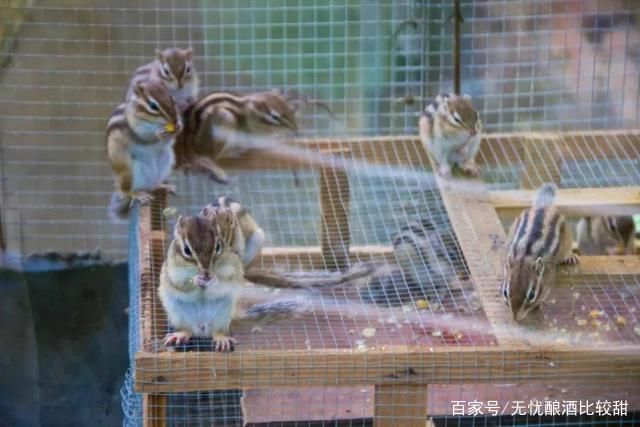 走进一座山，不小心发现山中藏着这样一座神仙寺庙!