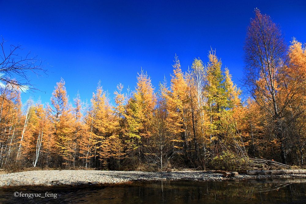 大兴安岭特大火灾澳洲火灾