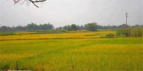  当心@村干部又要忙活了！挨家挨户要严查这“3件事”，农民要当