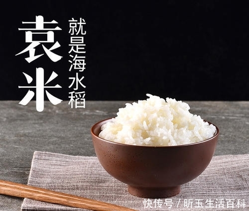  董事长|出任董事长、还有两个目标！袁隆平：我没有想过退休！