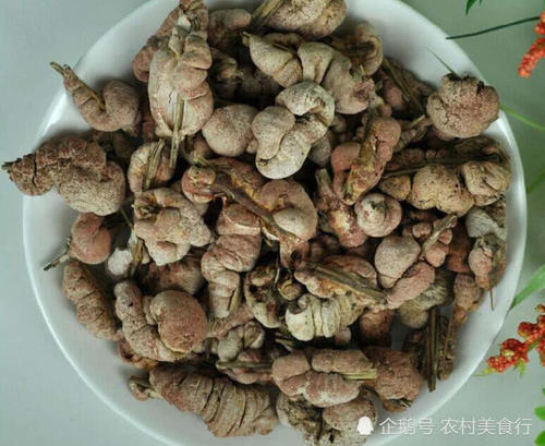 竹子长出“瘤子”农民见到就犯愁，殊不知是宝贝，如今一斤60元