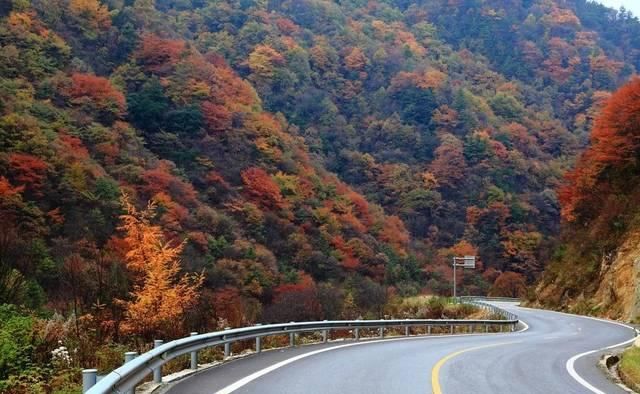 不用去婺源，湖北也有神仙秋景可赏，自驾2小时直达！