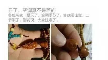  [泡油]泡油半年的橄榄核会长啥样？