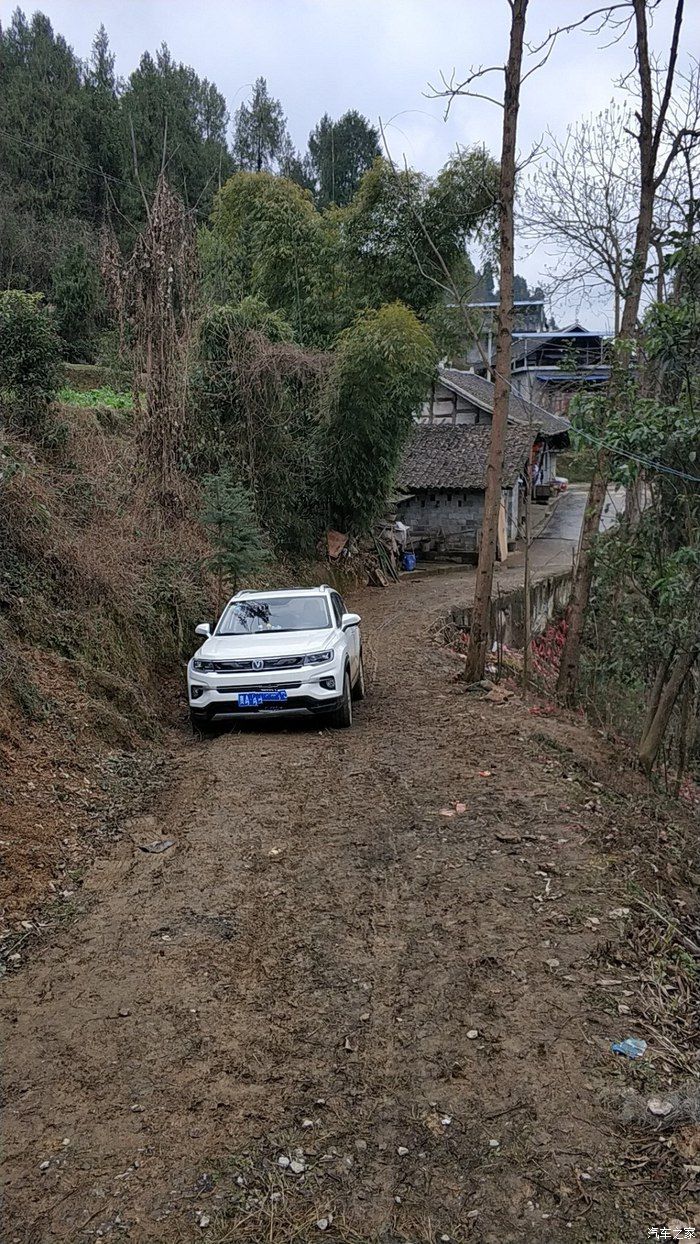 老司机看不了了啊