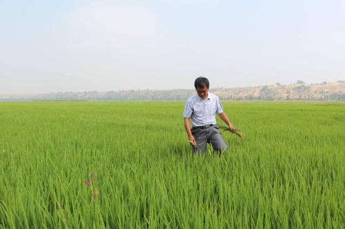  「取消」农业户口取消已提上日程，农民将面临3种选择，做好打算