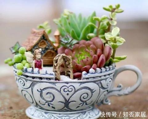 「装饰」在茶杯里建花园,美到惊艳!31万网友疯狂点赞