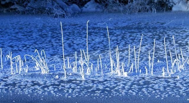  大幅度降温@钓鱼：降温、下雨后，鱼情就差？