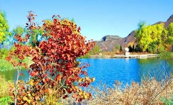 很多人还不知道，京西有个“百花山下第一村”，简直美的不行