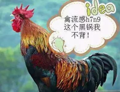 9月朋友圈五大“谣言”,第一个就害人不浅!