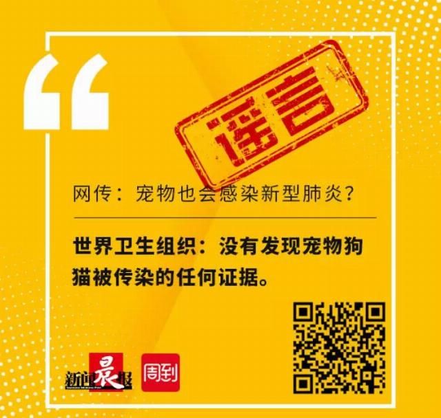 上海■谣言！谣言！谣言！太可恨了