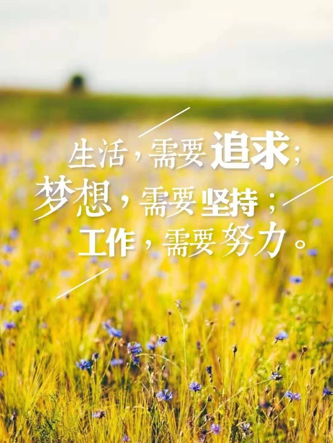 阳光|阳光，正能量，唯美，抱负，非常适合朋友圈