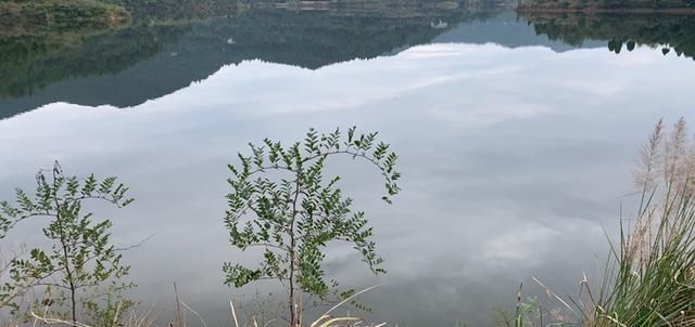 再钓云顶山，八尔滩板鲫 往哪里跑