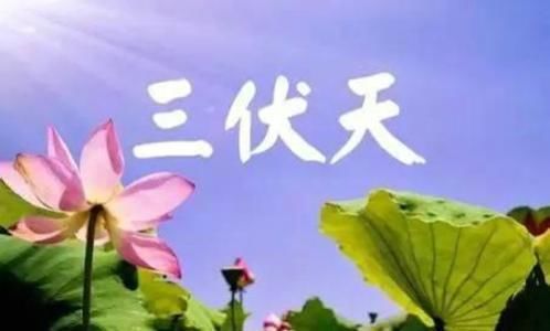 三伏天，减肥最简单！生姜加点“它”，大肚腩悄悄不见了！
