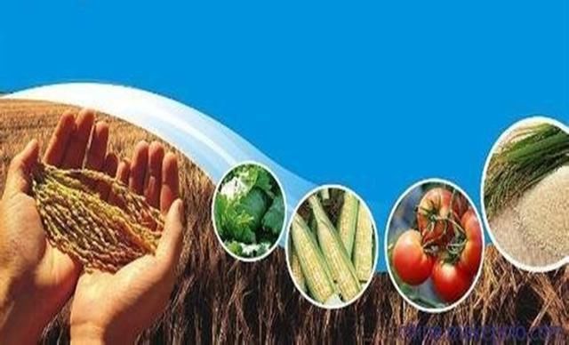 被人忽悠,自己又没正事,把好端端的国家搞的穷