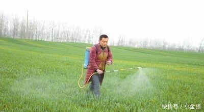  发现■农民注意: 过去农村这种常见“物品”已经禁用, 被发现了