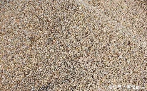  【沙子】建造房子需要沙子，为啥沙漠里那么多沙子，却不能用？