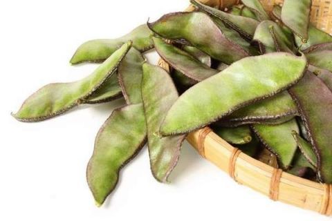  食物中毒■这些食物如果半生不熟，容易引发食物中毒