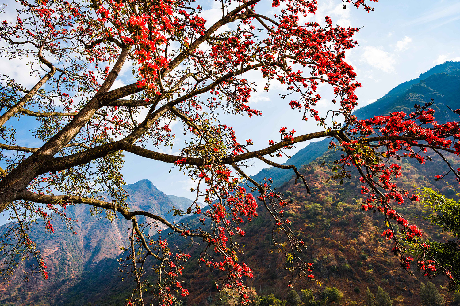 走进怒江大峡谷,探秘中国唯一的天体浴场——傈僳族"澡堂会"