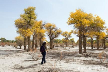  [世界人民]中国又宣布什么决定引起了世界人民瞩目，但有一个国
