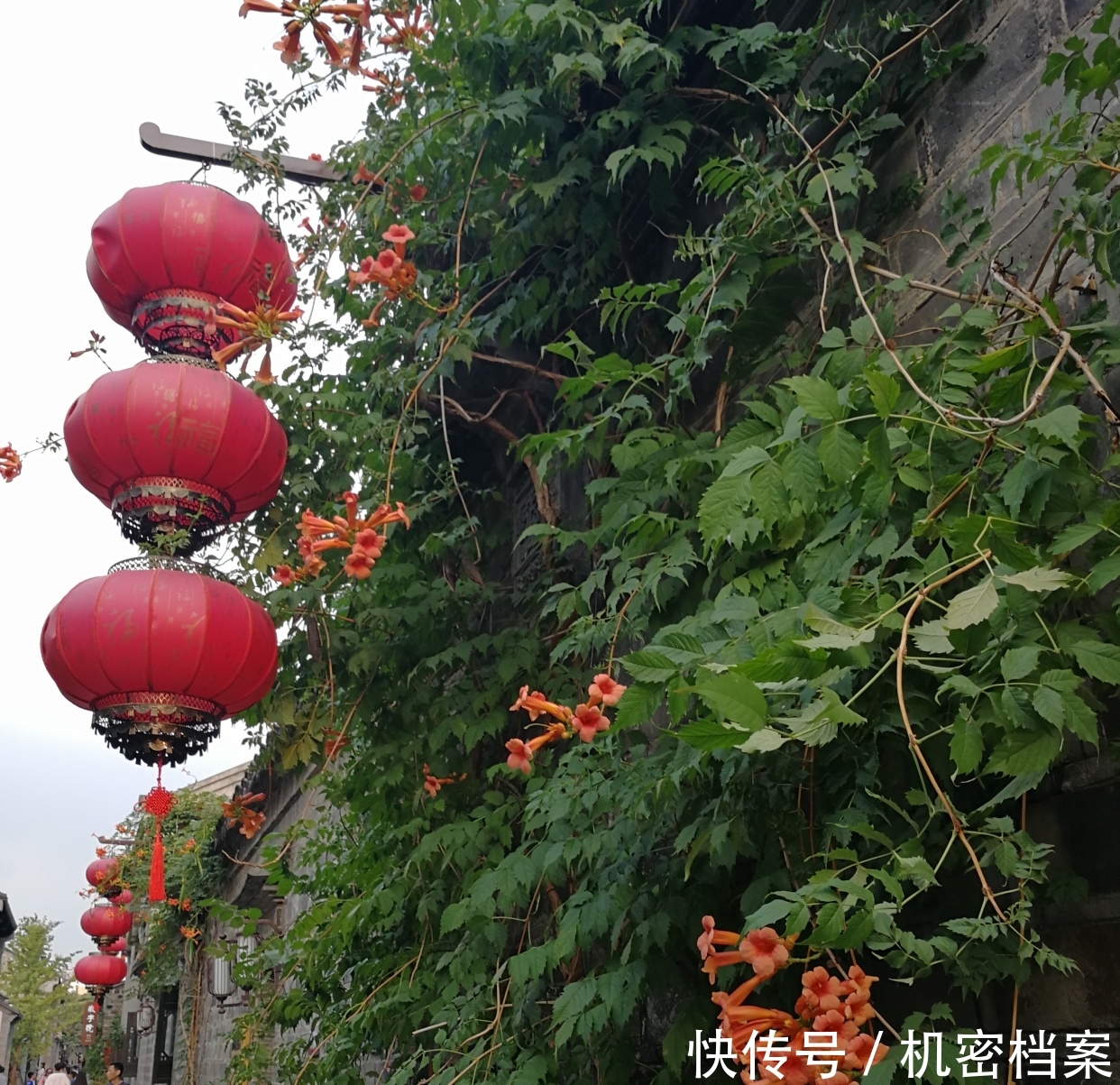 南京这个景区距离夫子庙很近,游客很少来,每个角落都诗意绵绵