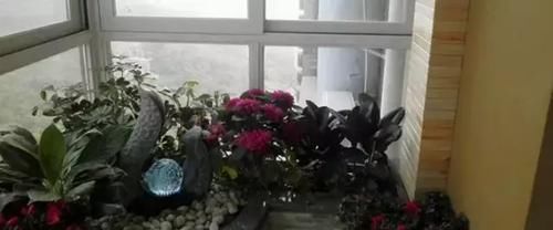 「漂亮」这么漂亮的阳台, 只知道晒衣服, 就太浪费了!