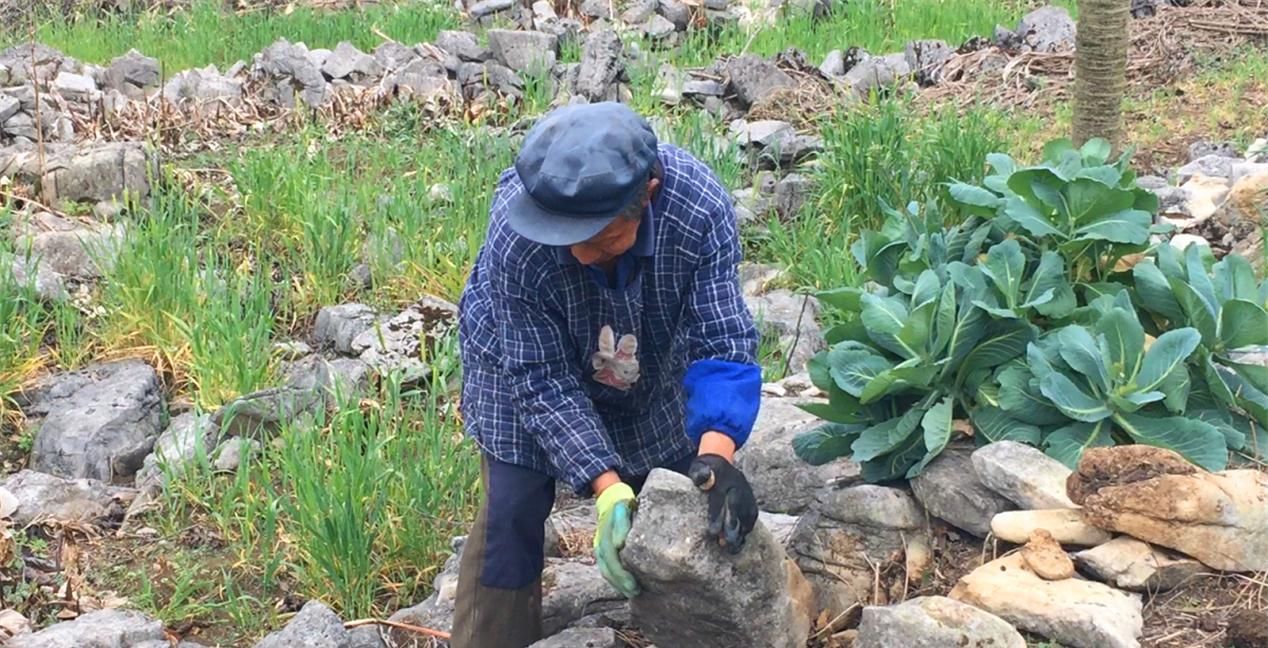  #道理#俗语“男怕八月，女怕腊月”，为何这样说？老祖宗的话有